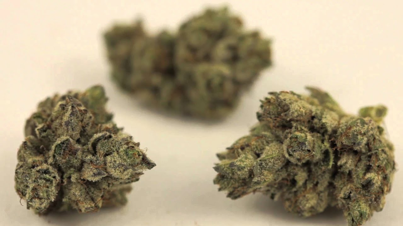 Phishhead Kush