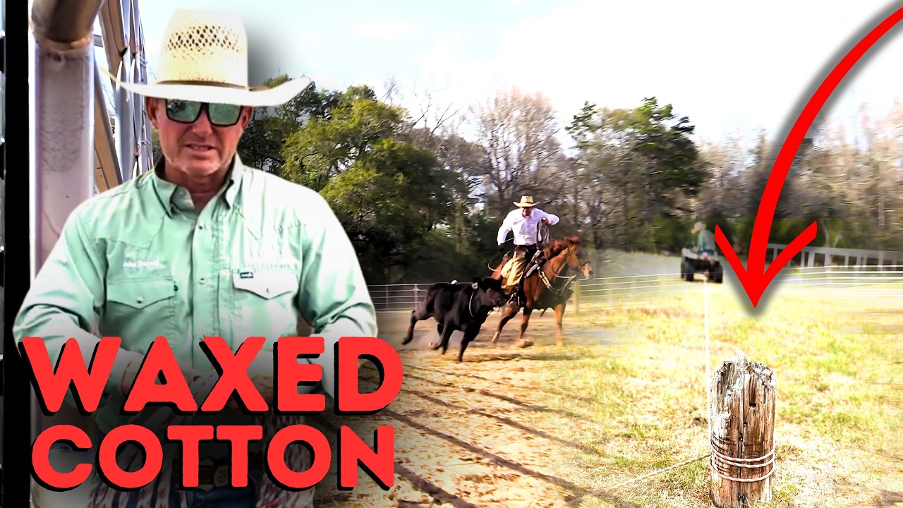 How to break in a Waxed Cotton Ranch Rope!