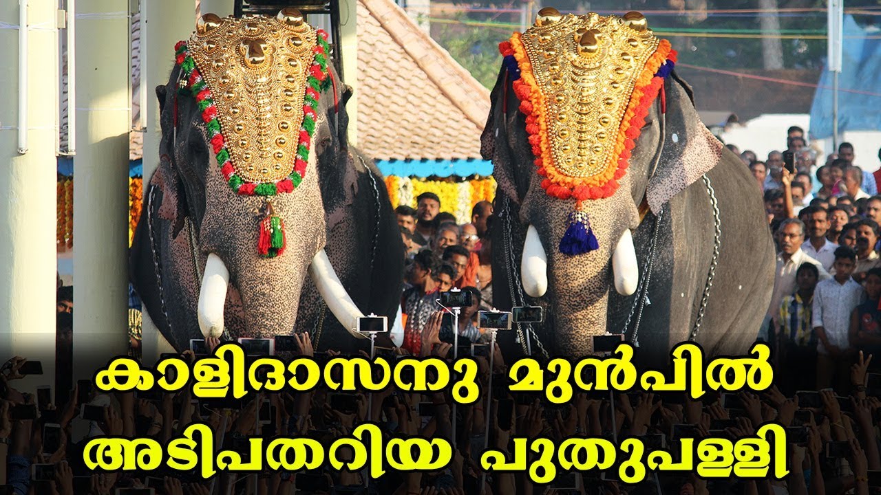 Cherai Pooram - Chirakkal Kalidasan Vs Puthupally Keshavan at Thalapokkam 2018