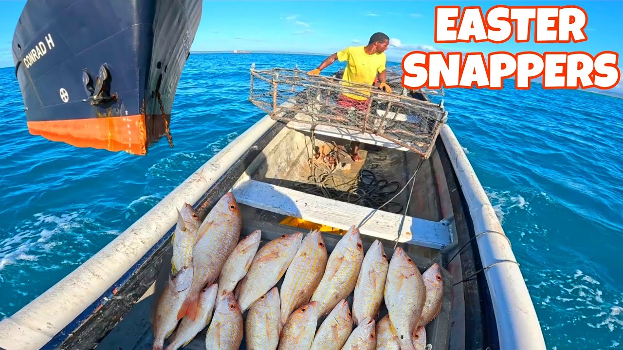 DEEP WATER LANE SNAPPERS, EASTER HAUL!!!! SMALL FISH TRAPS WORKING!!!