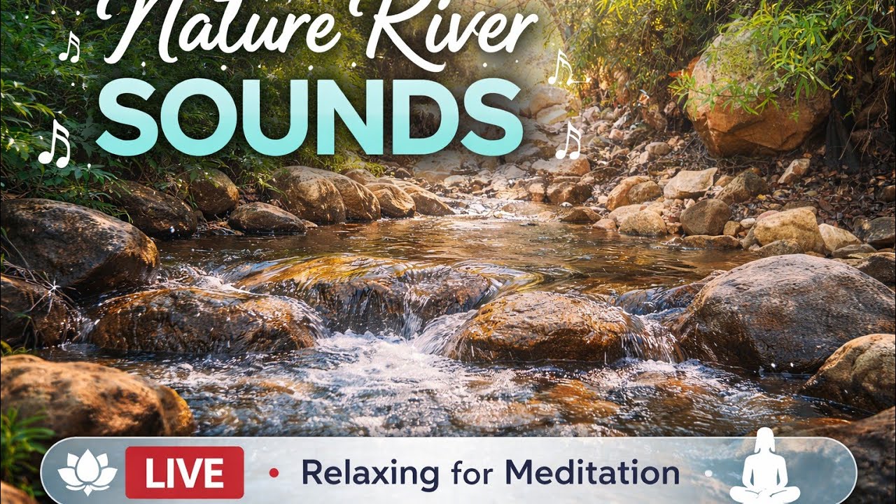 🧘‍♂️ Live Meditation with Natural River Sounds | Healing & Relaxing Stream