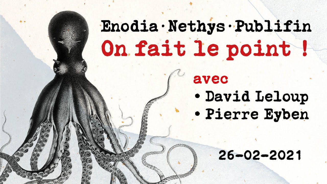 Enodia&middot;Nethys&middot;Publifin: on fait le point!