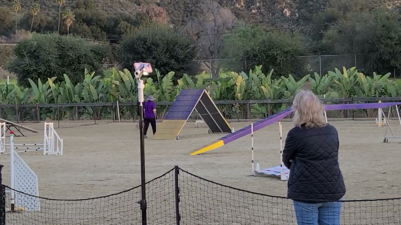 Phillip Novice Standard 1/17/2026 at Galway Downs