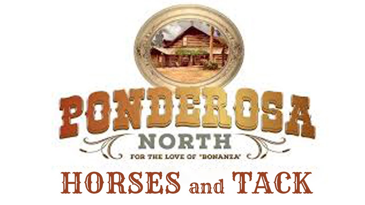 Ponderosa North: The Horses & Tack – Group Discussion