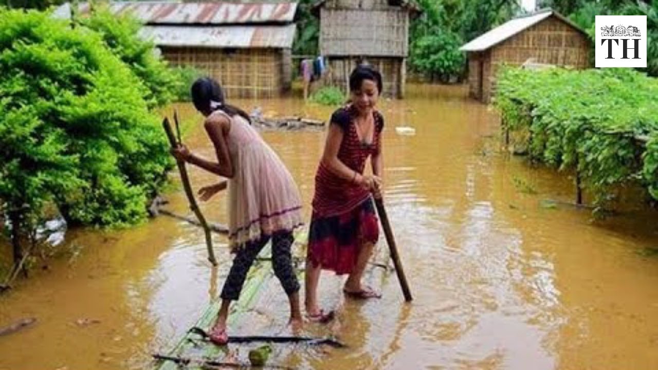 Assam flood takes its toll on people and animals