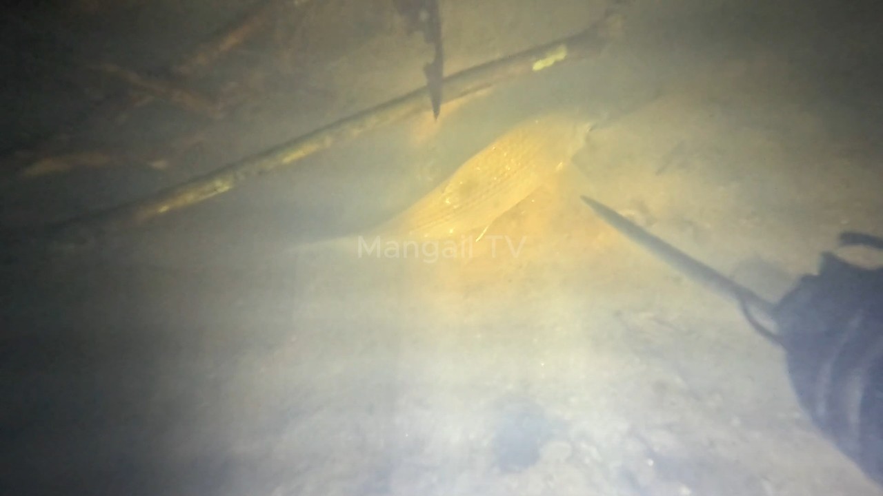 Nembak Ikan Malam Hari Walau Keruh Tetap Gacor