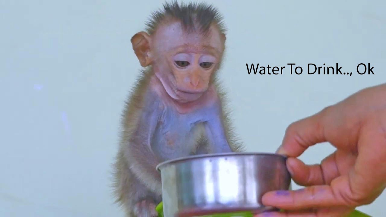 A Mother's Love: Giving Water to Her Hungry Baby in the House