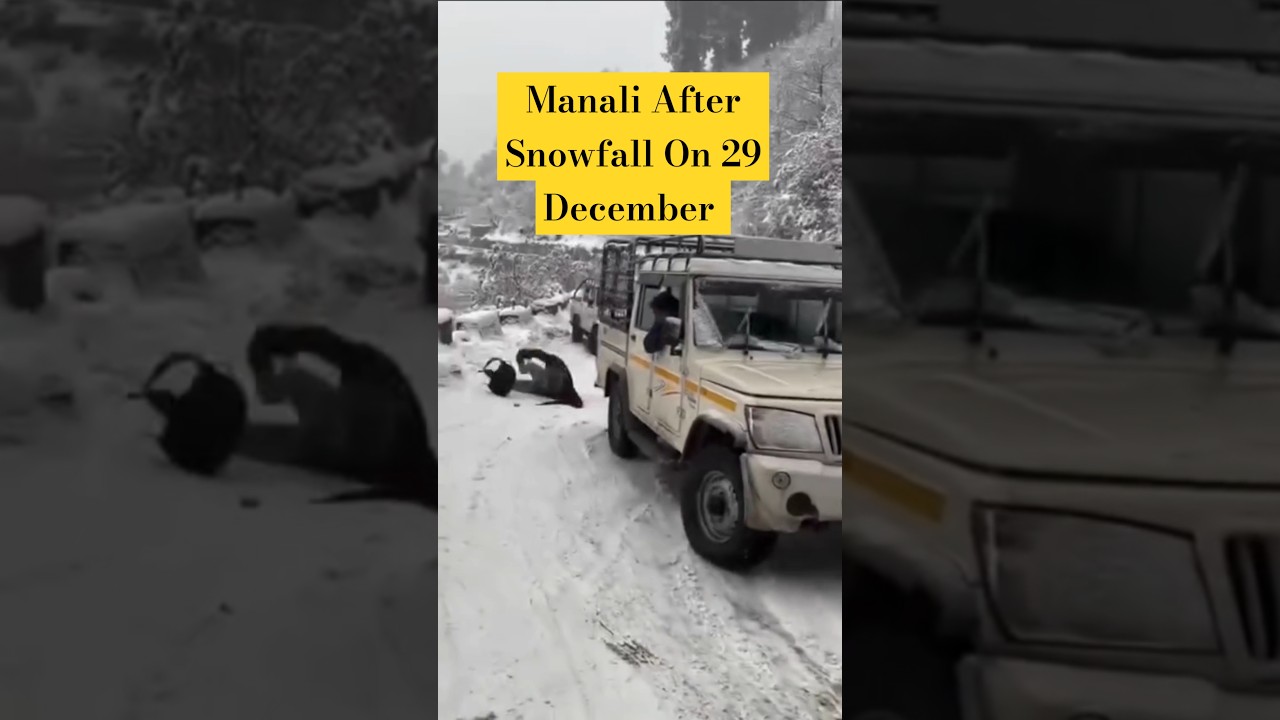 Heavy Snowfall On 29 December #manali #snow #solang #himachal #snowfall #blackice #trending #viral