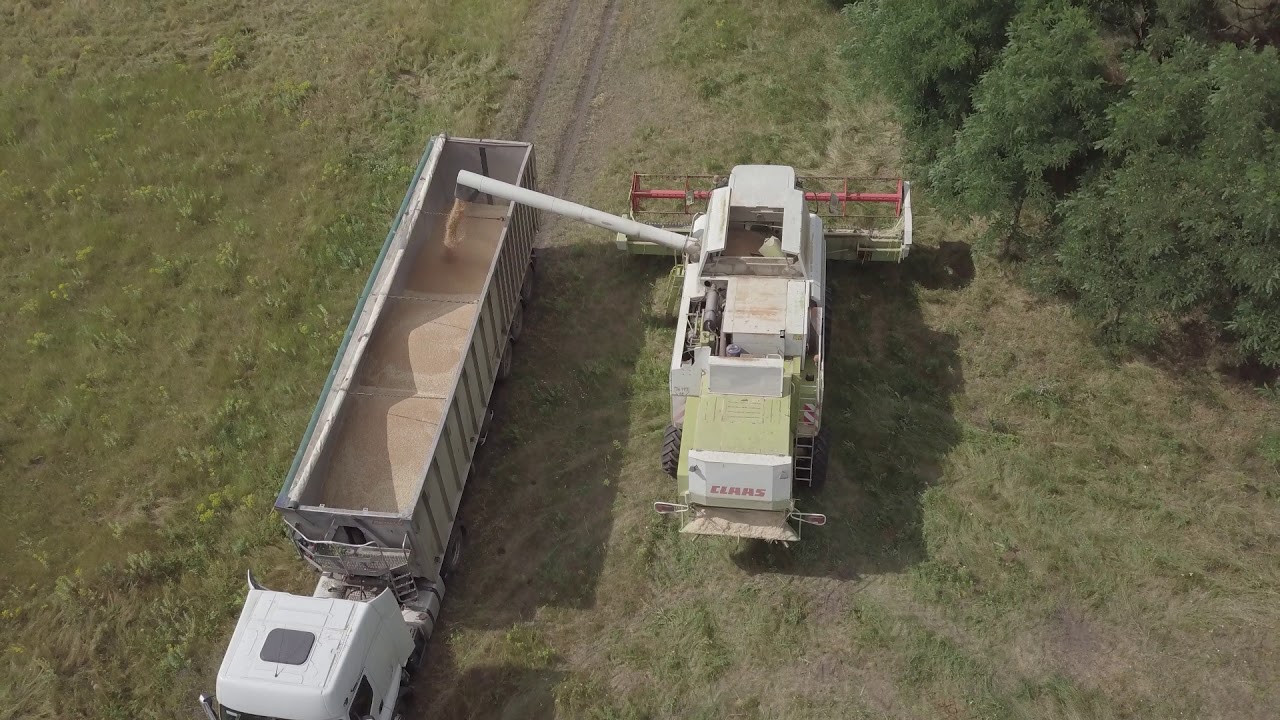 Claas Lexion 450. Уборка пшеницы.