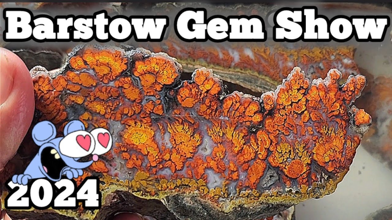Barstow Gem Show! 😍🪨💖 + Victor Valley G&M Club visit! #rocks #gemshow #gemsandminerals #lagunaagates