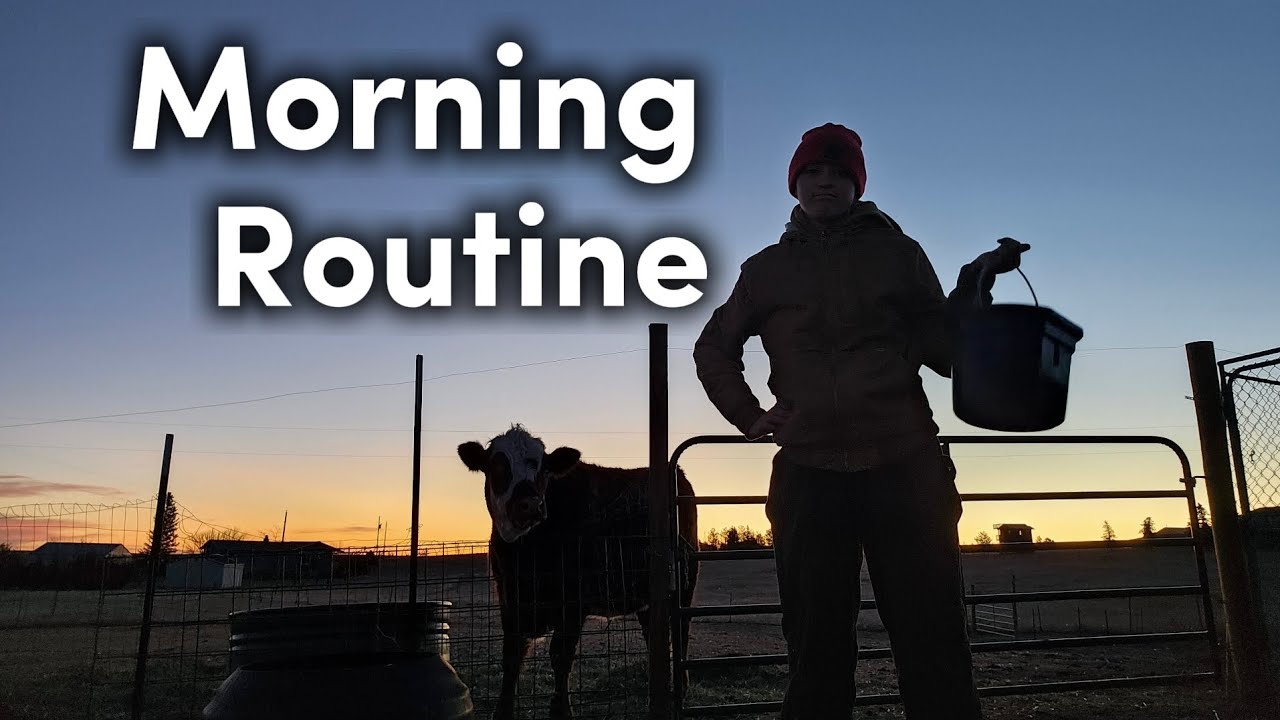 Winter FARM MORNING Routine ❄️ | Lots of Chores.. 🚜