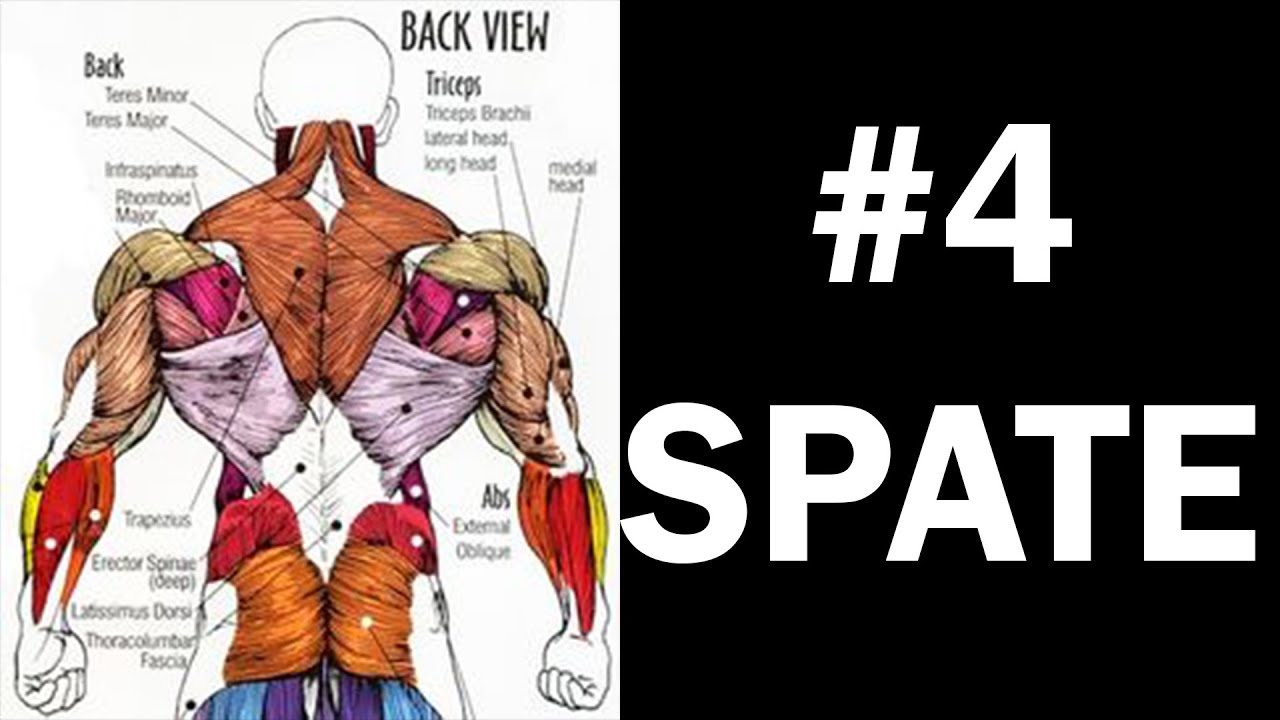 Spate | Stiinta din Spatele Antrenamentului #4