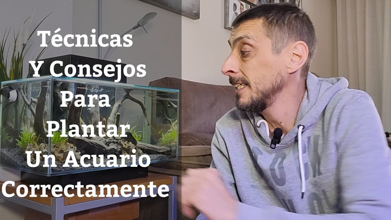 🔵 Técnicas Y Consejos Para Plantar Un Acuario Correctamente (Acuarios MB)