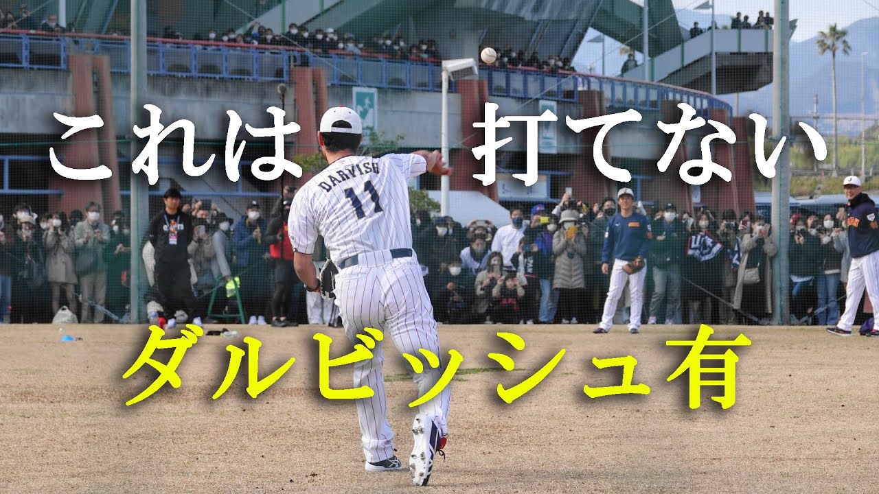 【侍ジャパン】ダルビッシュ有キャッチボール（2023 0217）