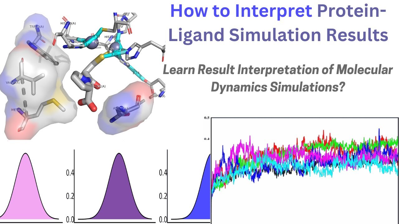 How to interpret and understand results of molecular dynamics simulation?