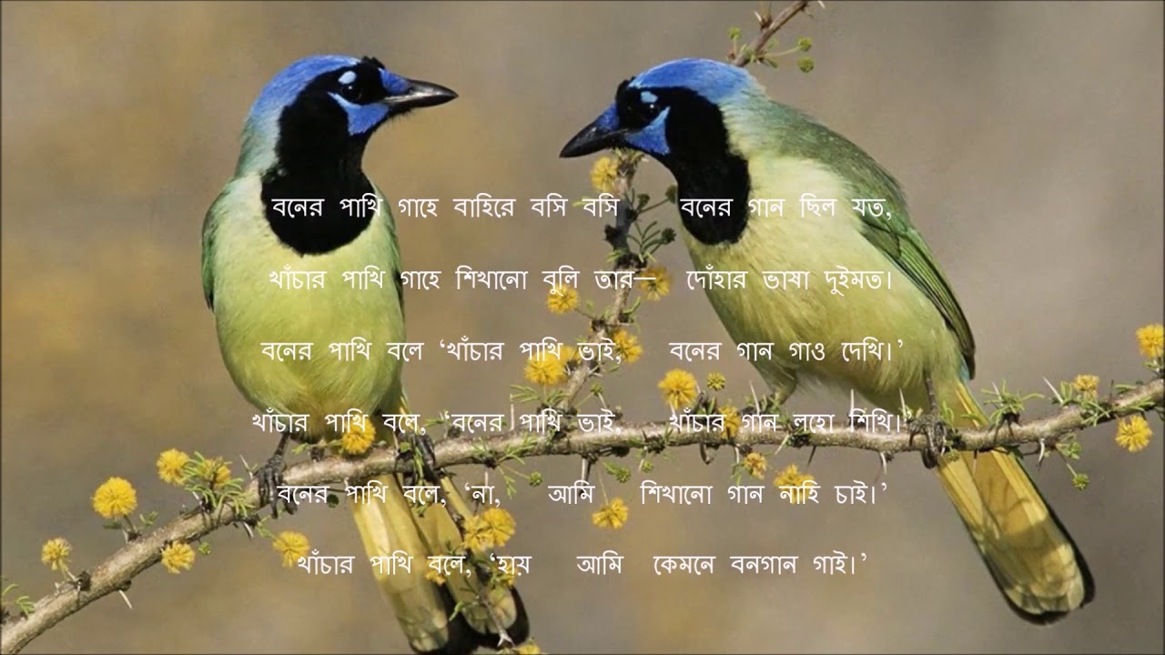 Khachar Pakhi Chilo