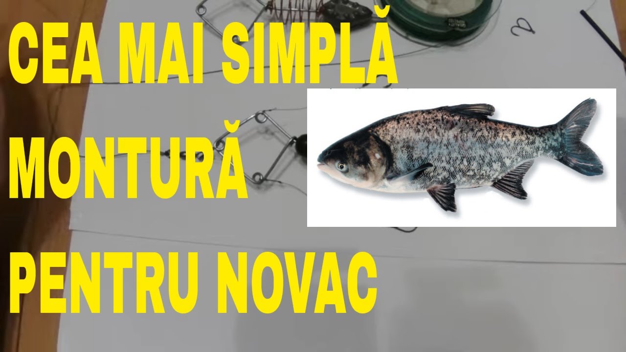 Montură de novac ,versatilă si ușor de făcut ,Timp de execuție 3-5 minute