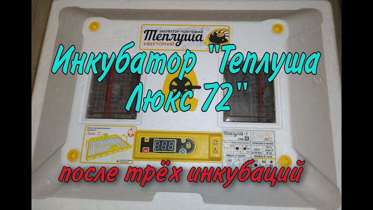 Инкубатор 