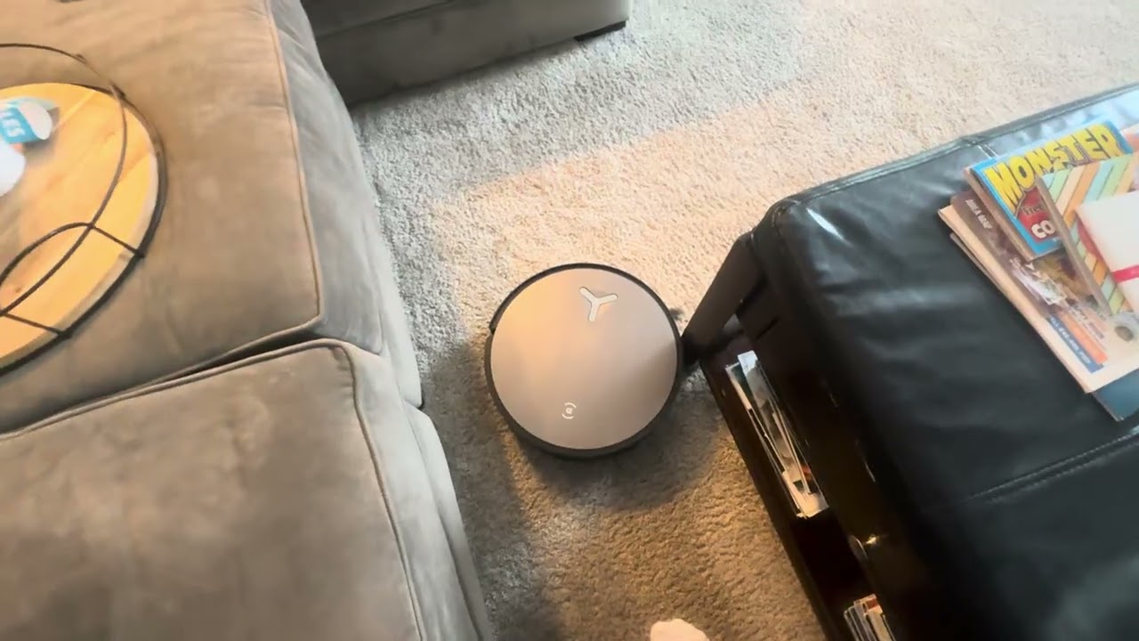 Deebot Malfunction 