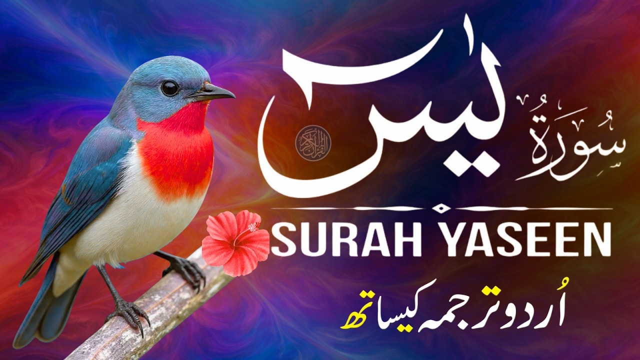 Surah Yaseen with Urdu Translation | Beautiful Recitation by Qari Mansoor Ghaznavi | Ep0042