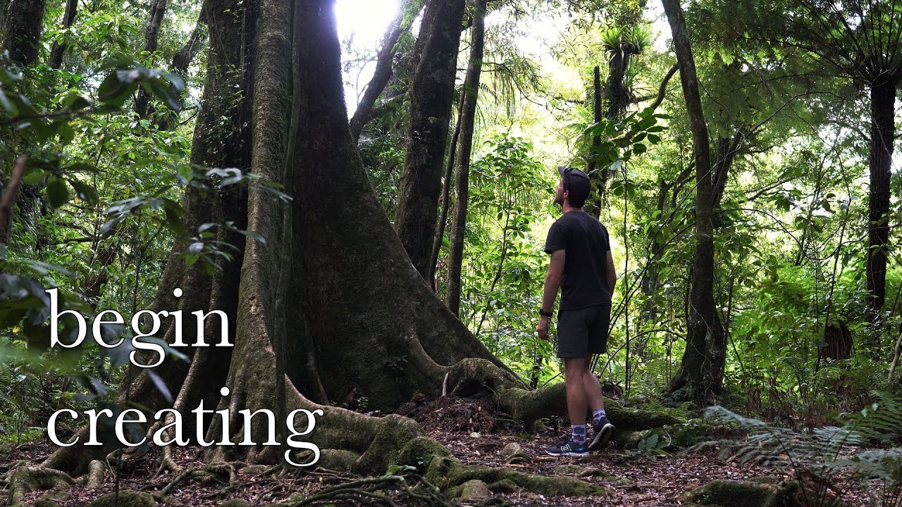 Climbing Otanewainuku | New Zealand Plants and Wildlife!