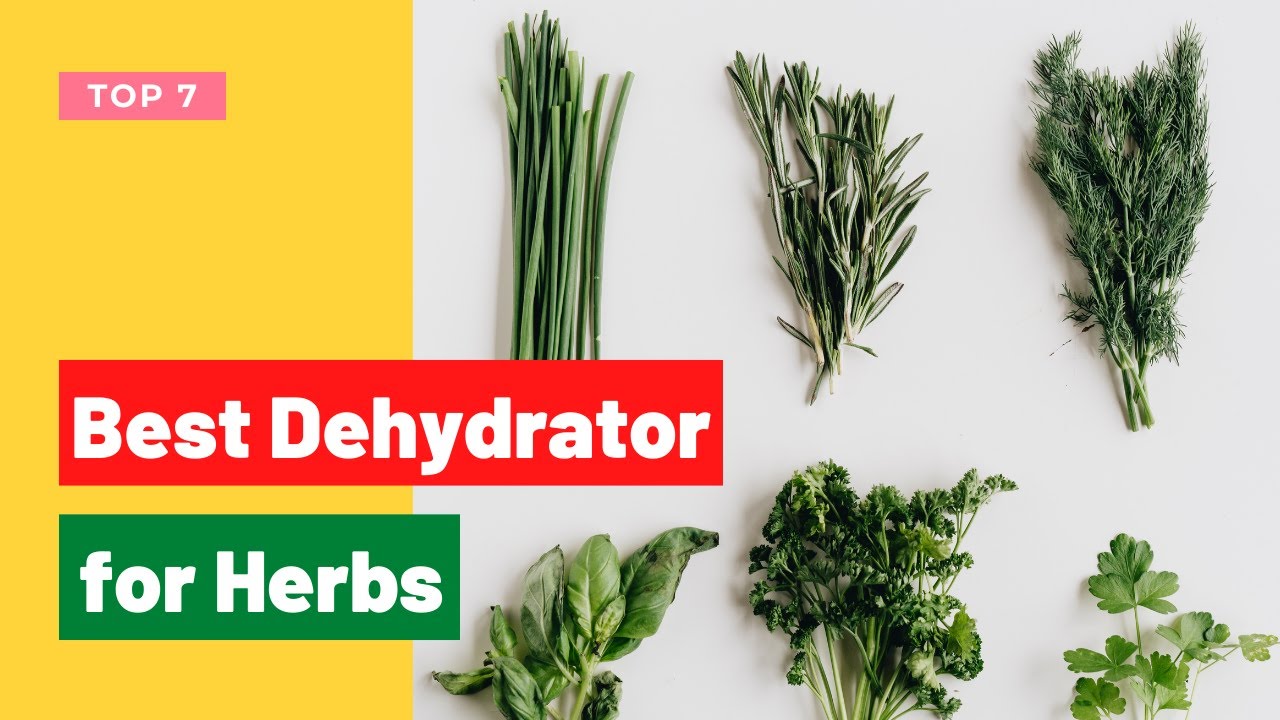 ✅ 7 Best Dehydrator for Herbs You Can Buy in 2022