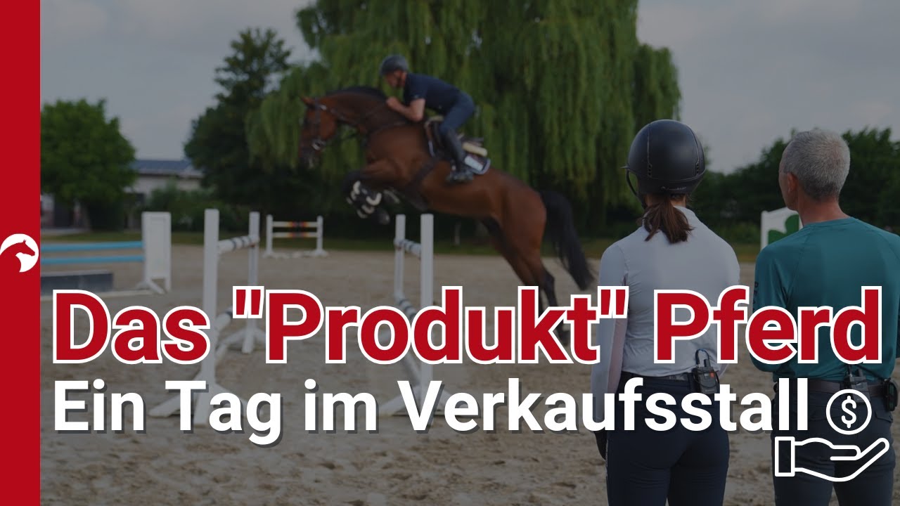 Was ist (d)ein Pferd wert? Verkaufsställe zwischen Leidenschaft und Lebensunterhalt