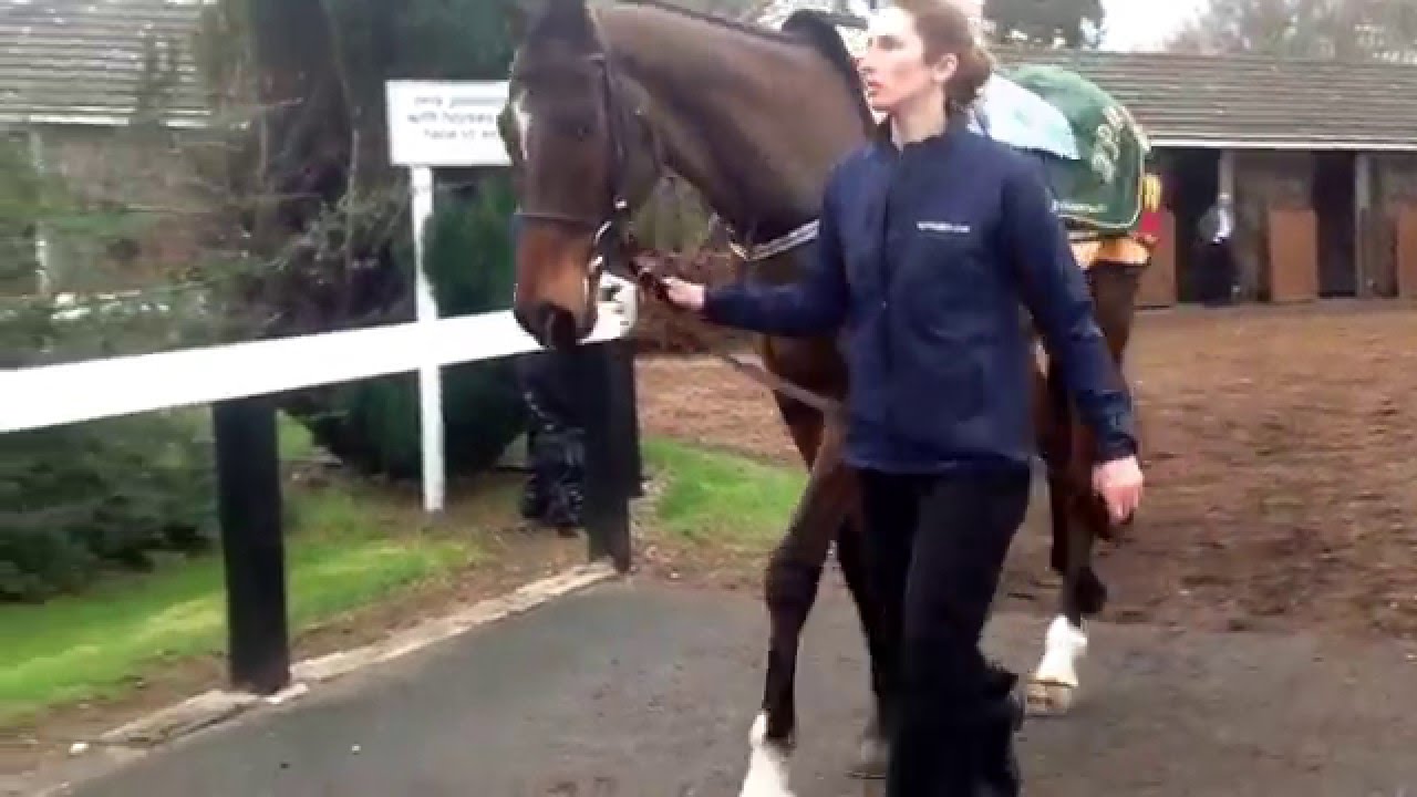 Douvan on his way from the pre-parade ring with Gail Carlisle
