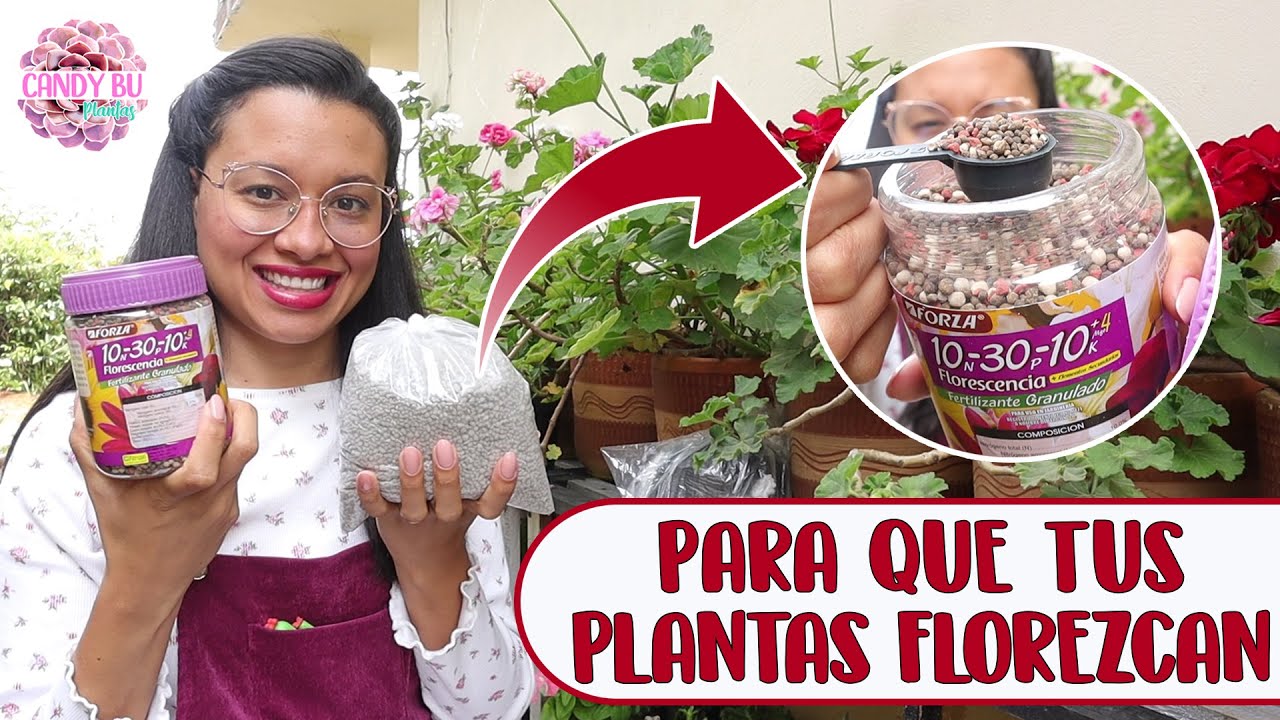 Cómo usar el ABONO TRIPLE 15 y FLORESCENCIA en las plantas│Candy Bu