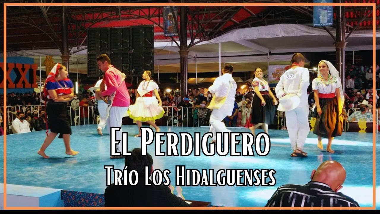 Trío Los Hidalguenses - El Perdiguero