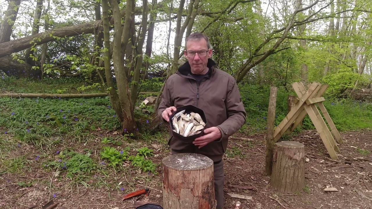 Charing birch polypore for tinder