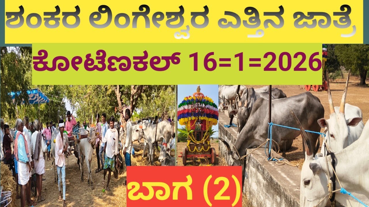 # ಶ್ರೀ ಶಂಕರಲಿಂಗೇಶ್ವರ ಯತ್ತಿನ ಜಾತ್ರೆಯ ವಿಡಿಯೋ ಭಾಗ-2 ಸಾಕಿನ್ ಕೋಟೆಕಲ್#
