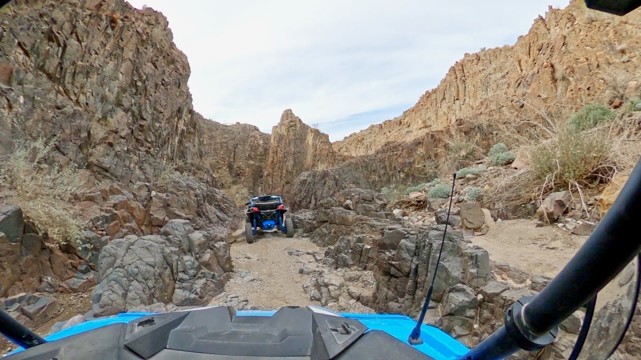 Arizona Peace Trail with Buds
