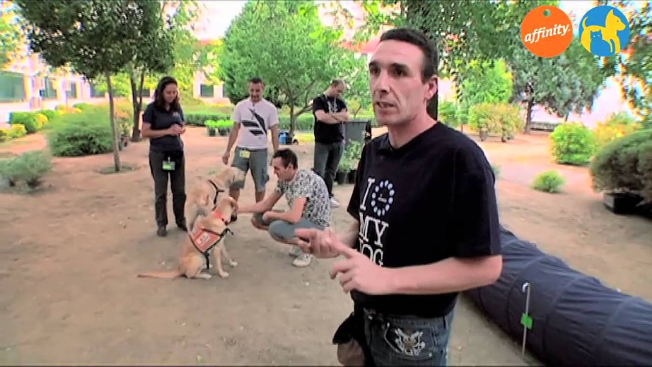 Más que mascotas - Prisión Valdemoro - Más que perros y gatos 5 | Fundación Affinity