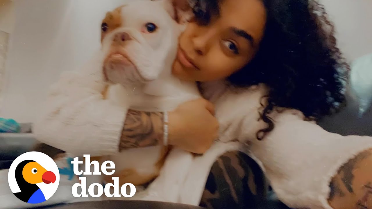 This Puppy's Mom Loves His Alter Ego | The Dodo Soulmates