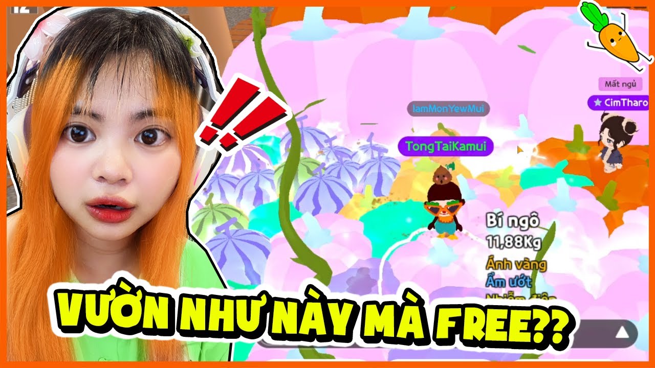 KAMUI ĐÃ BỊ LỪA TRONG PLAY TOGETHER | NHÀ GIÀU HAY NHÂN PHẨM?