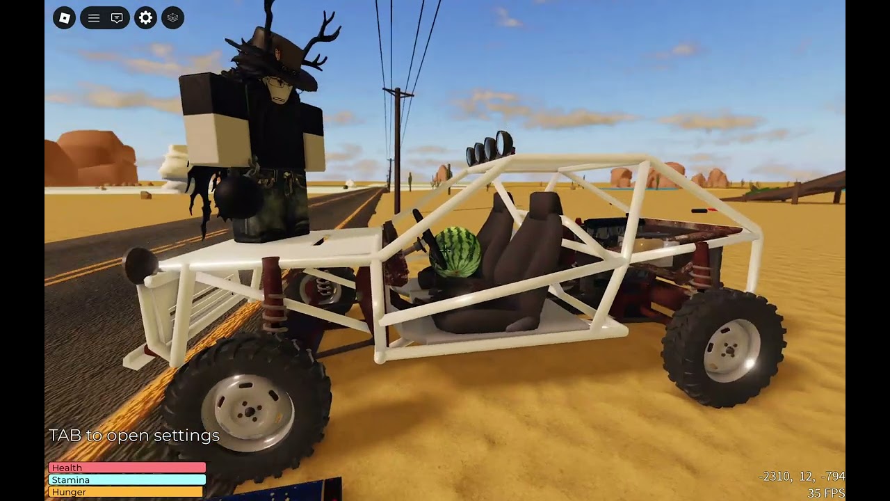 Roblox cu radu si stefan