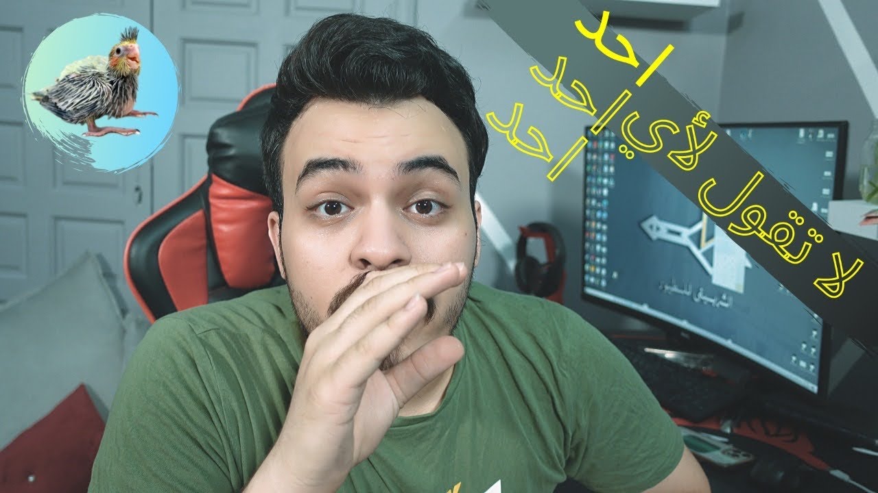 كم اطلع فلوس من الطيور والببغاوات ؟ | مهم جدا لو حابب تبدأ مشروع انتاج الطيور