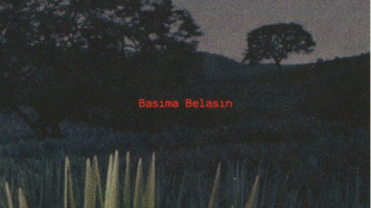 Aleyna Tilki - Başıma Belasın (Yusuf Özkan Afro Remix)