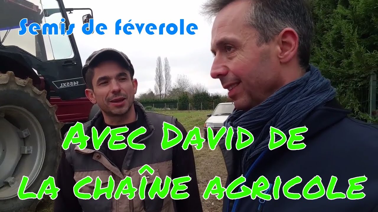 Chez David de la chaîne agricole je sème des féveroles