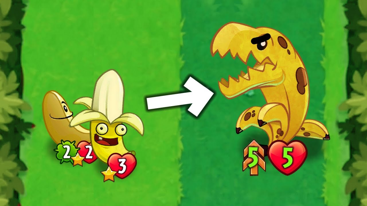 Using Bananas To Get Bigger Bananas
