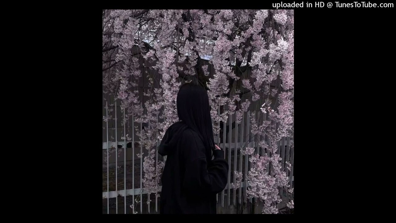 (free) flyingfish x whirr x shoegaze type beat - “wildflower”