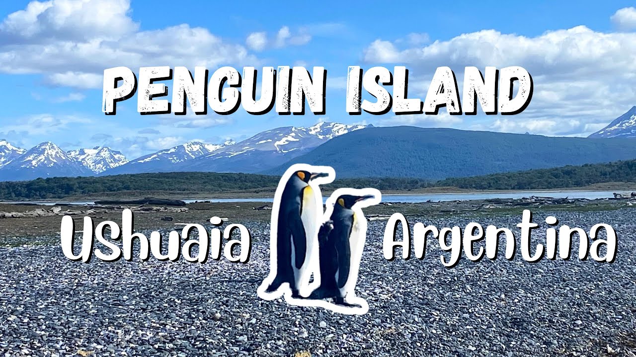 Penguin Island at End of the World | Walk with King Penguins in Ushuaia | 看南極洲企鵝不用去南極｜ Ep. 215