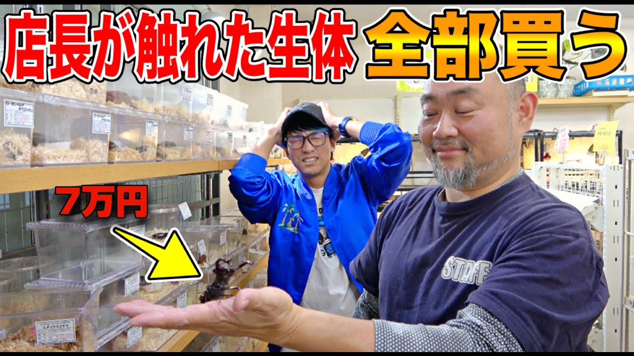 【破産】「オススメの生体紹介してください」とだけ伝えて触れた生体を全部買った結果