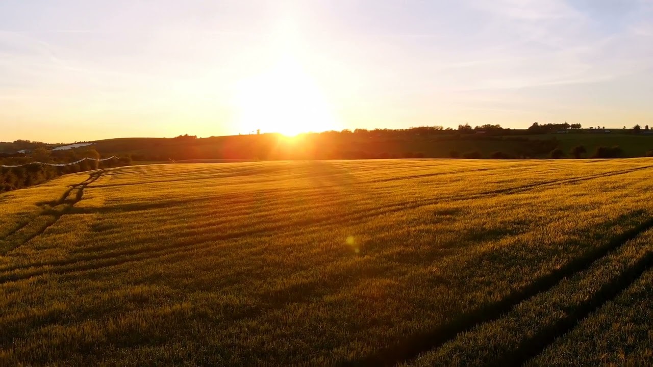 Sunset Over Golden Field with Rolling Hills in Background Video | WaveBreak Media