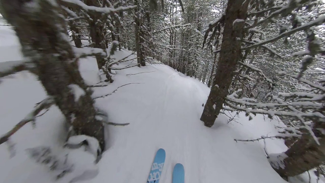 Добринище Freeride