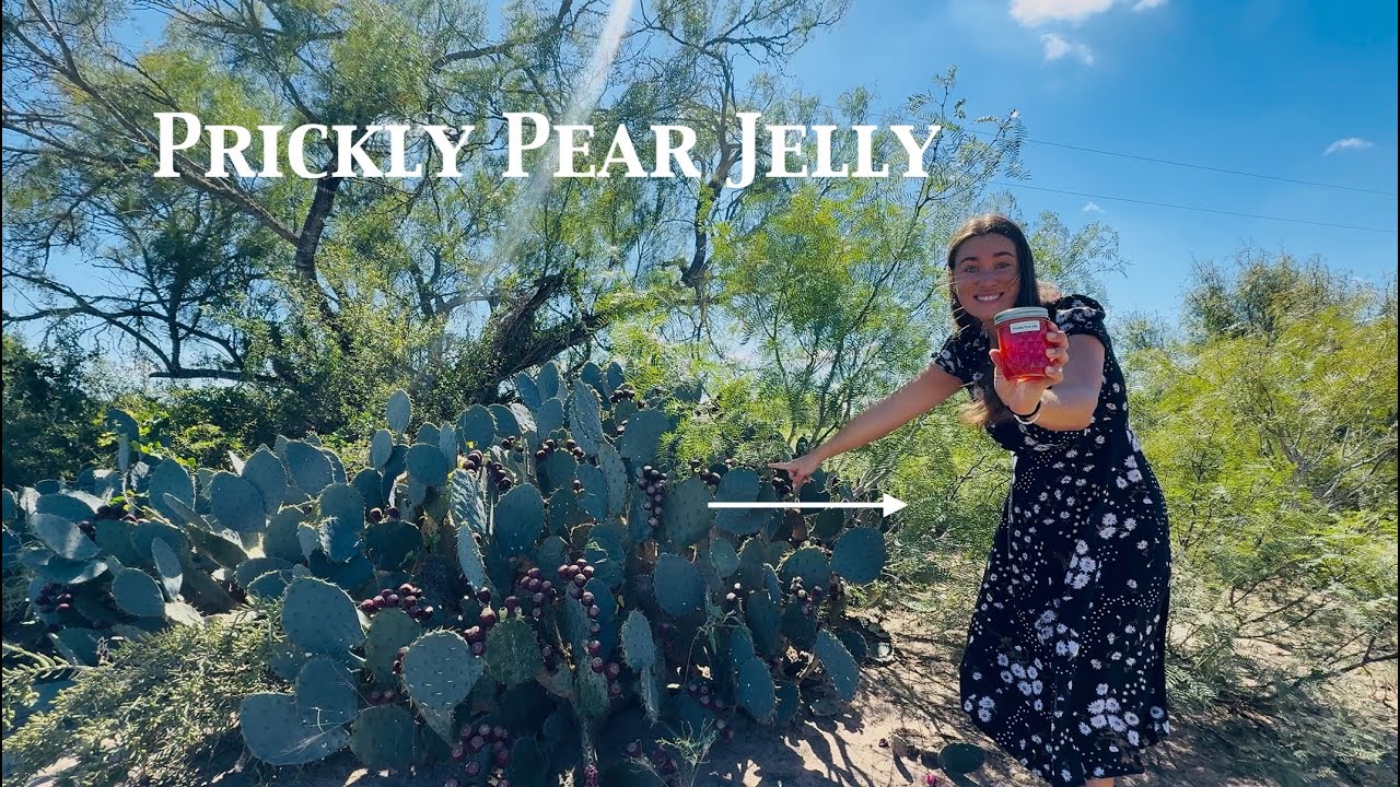 From Cactus to Table: Prickly Pear Jelly Recipe