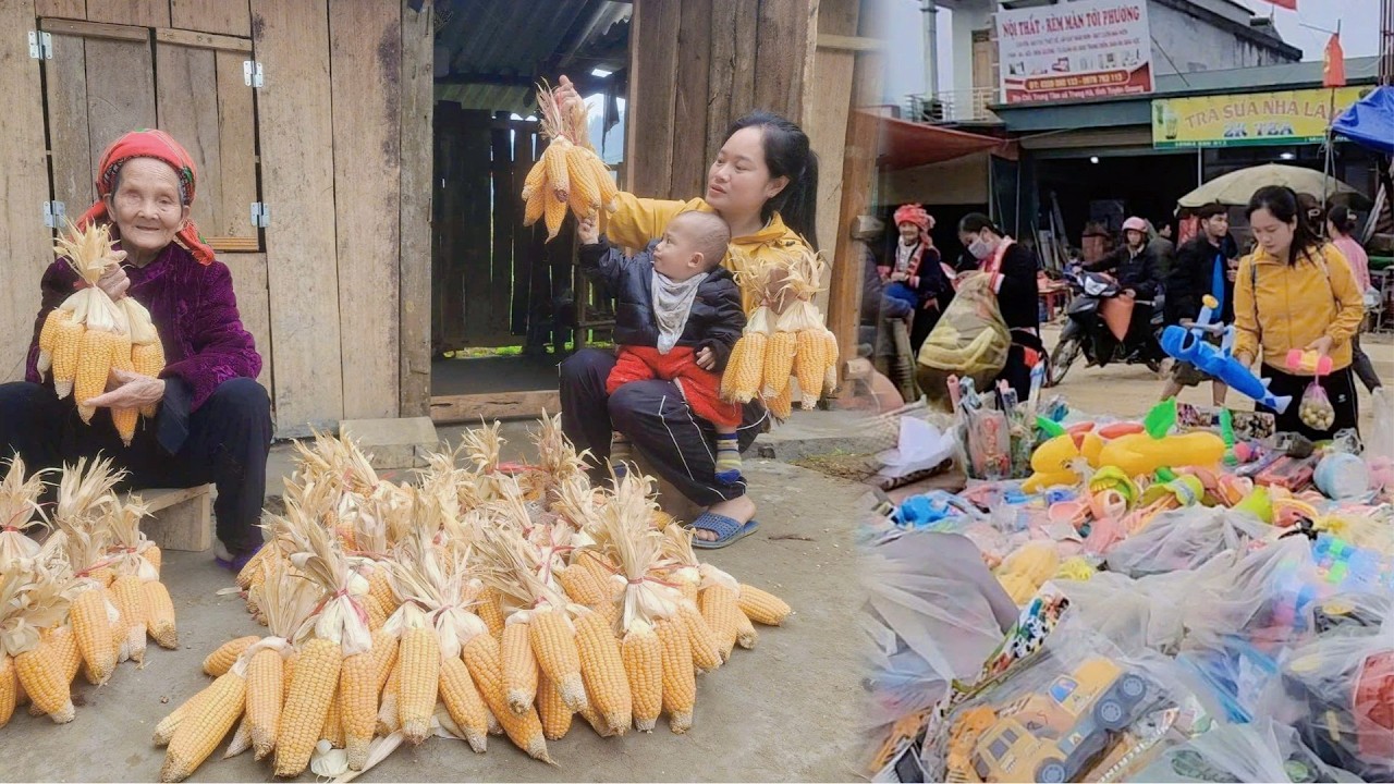 Tieu Nga Harvests Corn and Goes to the Year-End Market - Life with Her 80-Year-Old Blind Grandmother