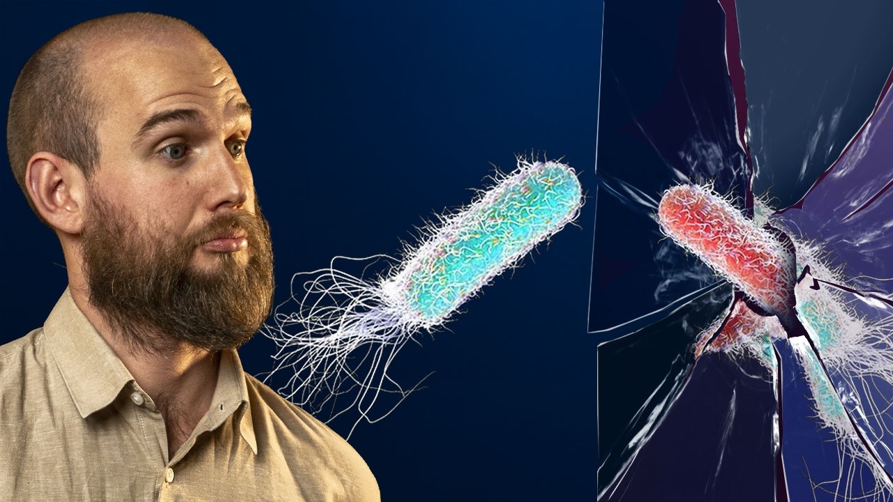 Gli Scienziati hanno Paura di creare la Vita Specchiata