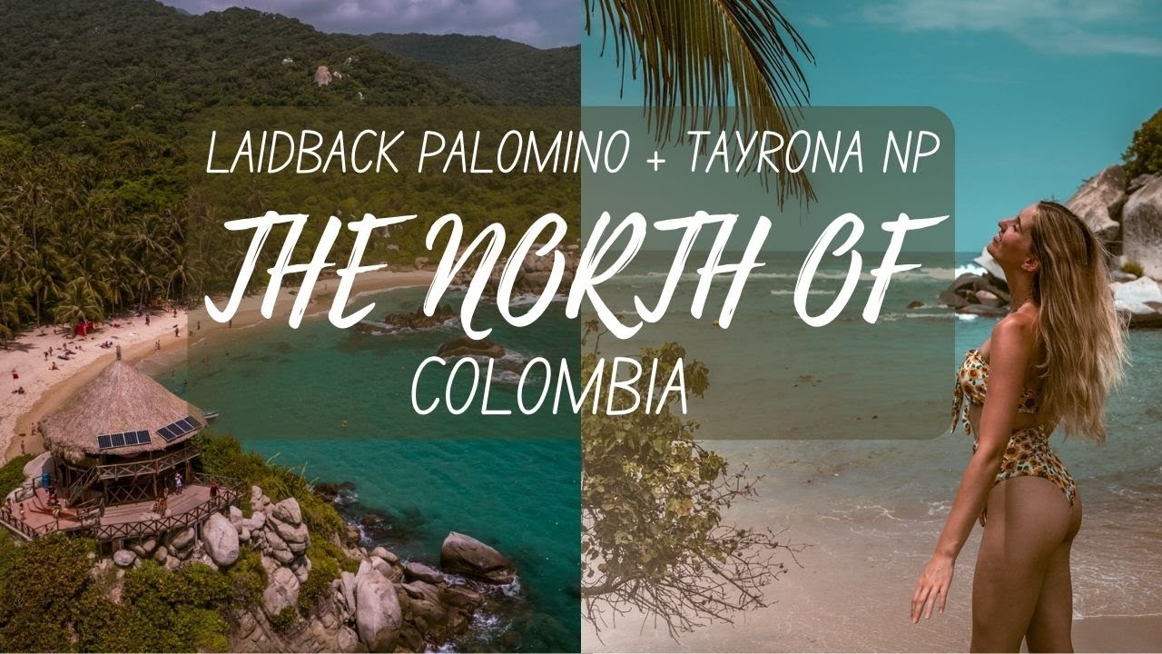 LAIDBACK PALOMINO + TAYRONA NATIONAL PARK (NORTH COLOMBIA🇨🇴)